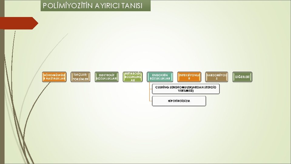 POLİMİYOZİTİN AYIRICI TANISI POLİMİYOZİTİN AYIRICI TANISI