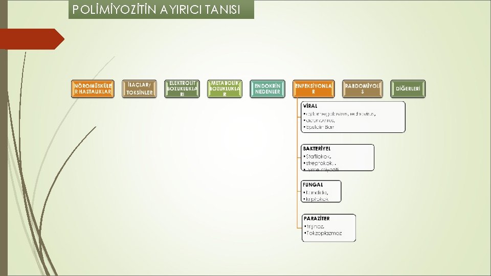 POLİMİYOZİTİN AYIRICI TANISI POLİMİYOZİTİN AYIRICI TANISI