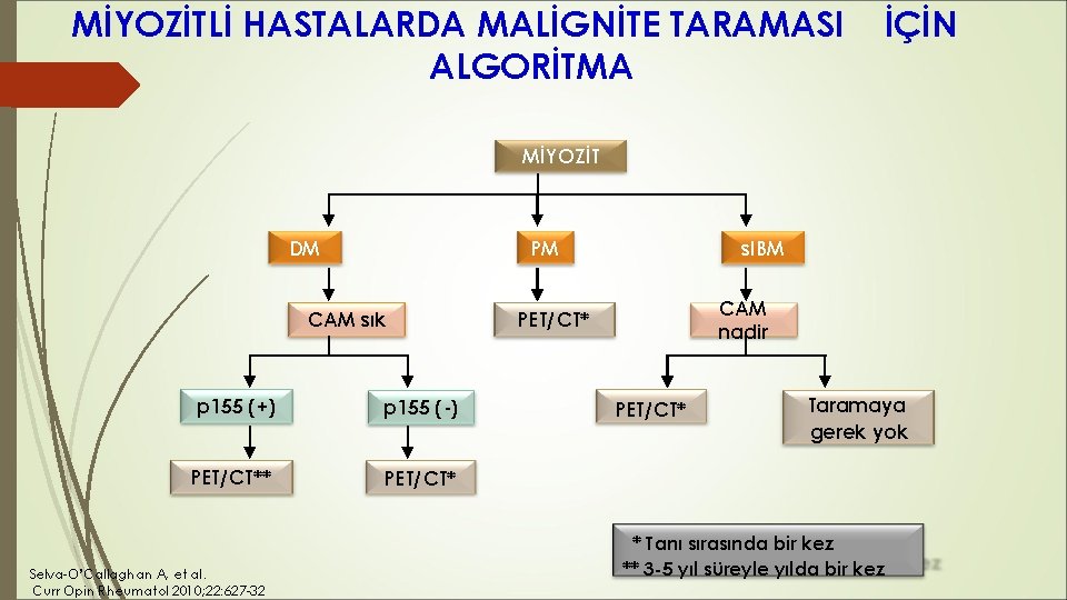 MİYOZİTLİ HASTALARDA MALİGNİTE TARAMASI ALGORİTMA İÇİN MİYOZİT DM PM CAM sık p 155 (+) MİYOZİTLİ HASTALARDA MALİGNİTE TARAMASI ALGORİTMA İÇİN MİYOZİT DM PM CAM sık p 155 (+)