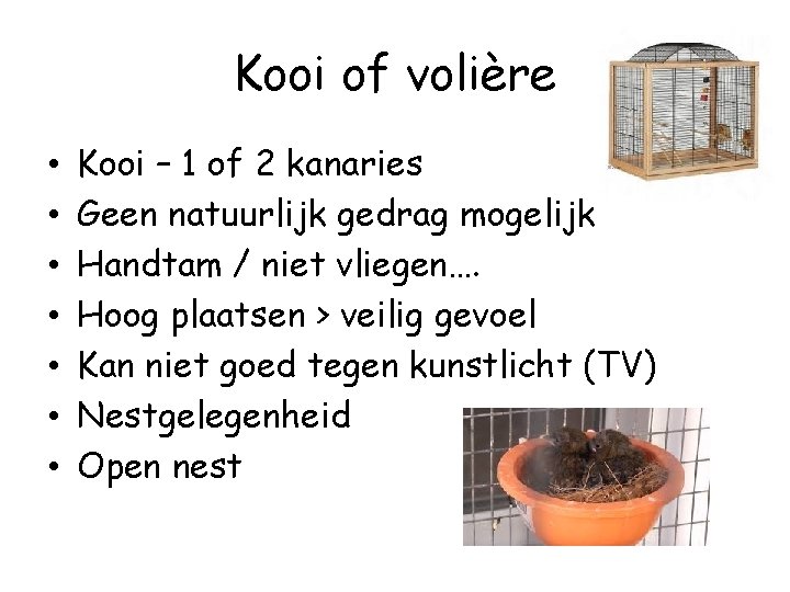 Kooi of volière • • Kooi – 1 of 2 kanaries Geen natuurlijk gedrag
