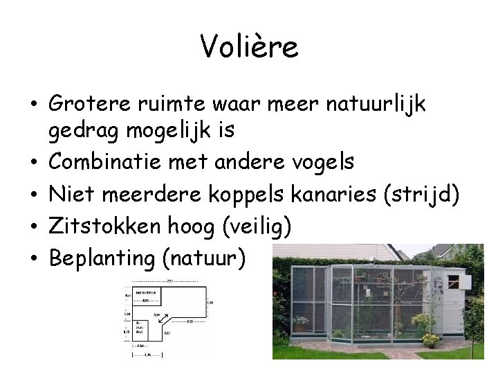 Volière • Grotere ruimte waar meer natuurlijk gedrag mogelijk is • Combinatie met andere