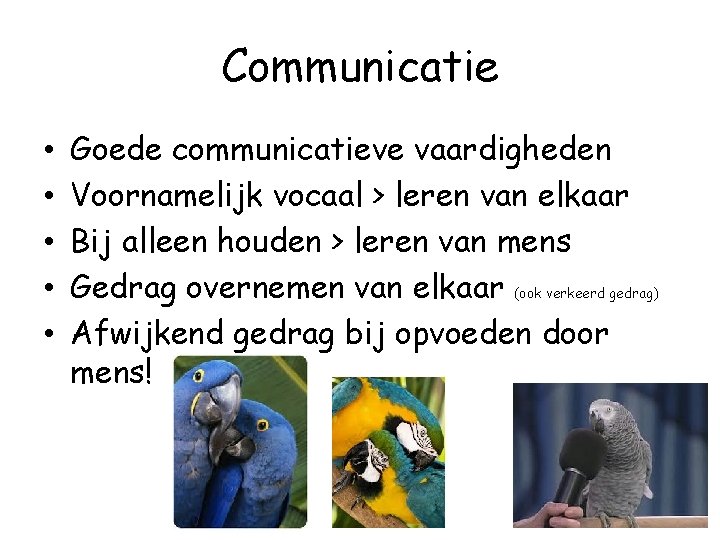 Communicatie • • • Goede communicatieve vaardigheden Voornamelijk vocaal > leren van elkaar Bij