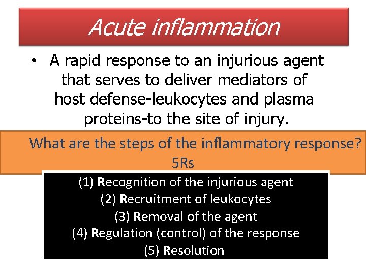 Acute inflammation • A rapid response to an injurious agent that serves to deliver