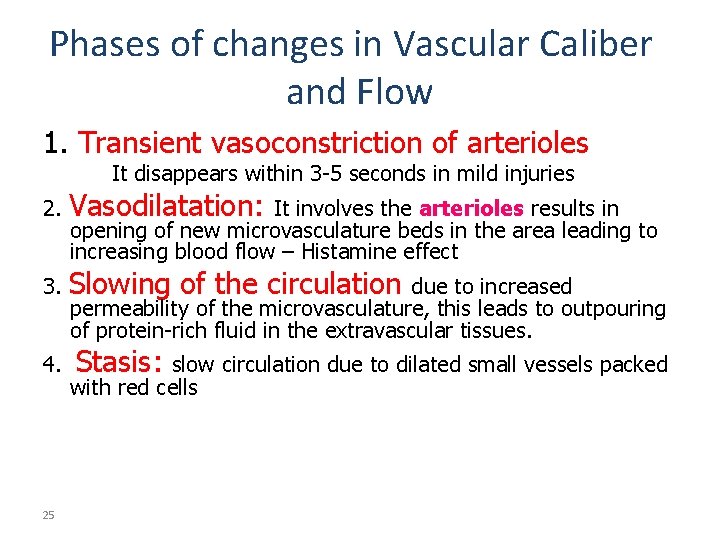 Phases of changes in Vascular Caliber and Flow 1. Transient vasoconstriction of arterioles It