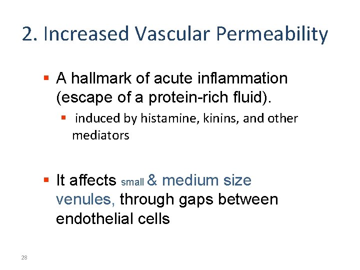 2. Increased Vascular Permeability § A hallmark of acute inflammation (escape of a protein-rich