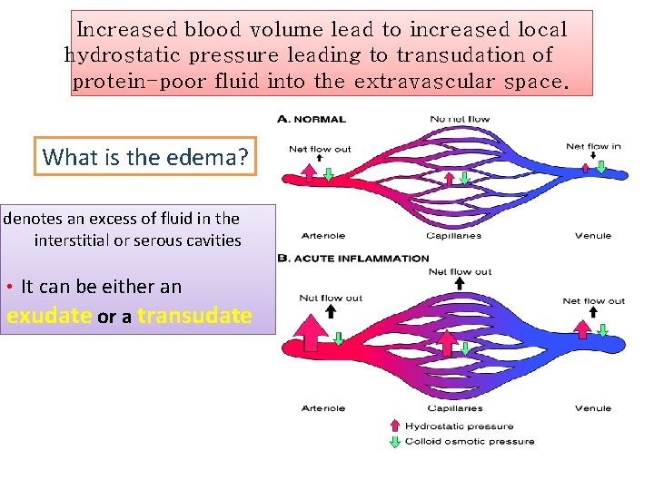 Inflammation And Repair Lecture 1 Definition Of Inflammation