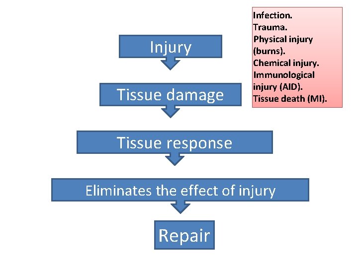 Injury Tissue damage Infection. Trauma. Physical injury (burns). Chemical injury. Immunological injury (AID). Tissue