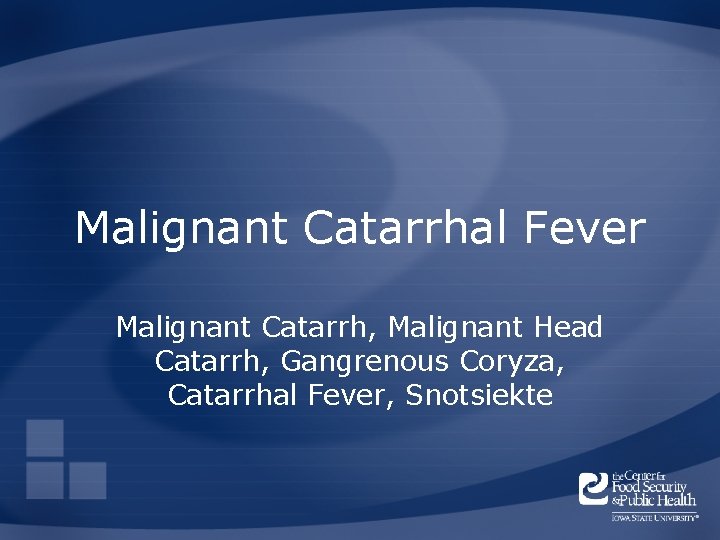 Malignant Catarrhal Fever Malignant Catarrh, Malignant Head Catarrh, Gangrenous Coryza, Catarrhal Fever, Snotsiekte 