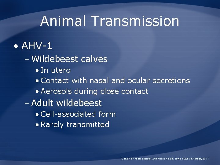 Animal Transmission • AHV-1 – Wildebeest calves • In utero • Contact with nasal