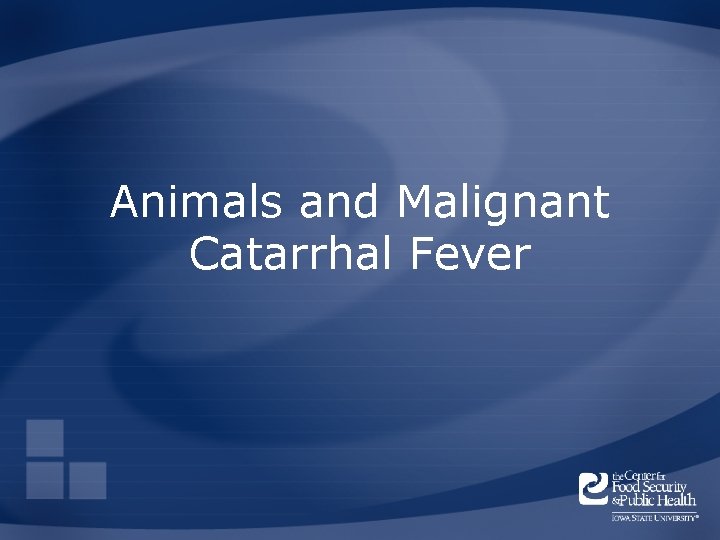 Animals and Malignant Catarrhal Fever 