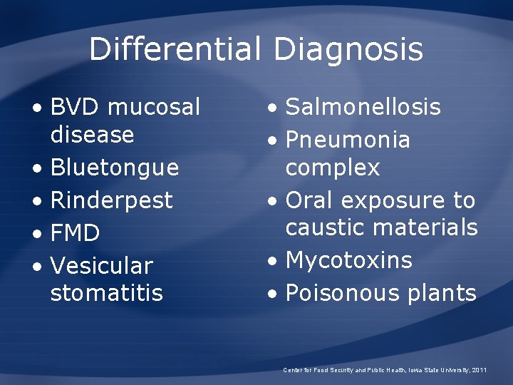 Differential Diagnosis • BVD mucosal disease • Bluetongue • Rinderpest • FMD • Vesicular