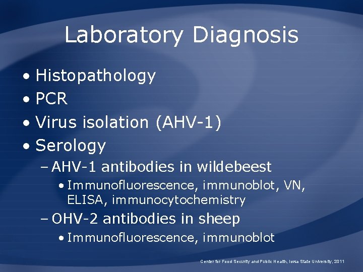 Laboratory Diagnosis • Histopathology • PCR • Virus isolation (AHV-1) • Serology – AHV-1