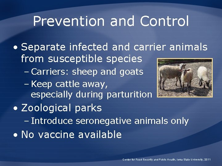 Prevention and Control • Separate infected and carrier animals from susceptible species – Carriers: