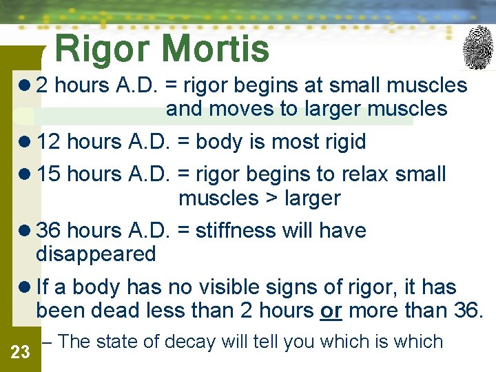 Rigor Mortis l 2 hours A. D. = rigor begins at small muscles and