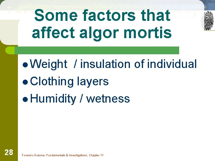 Some factors that affect algor mortis l Weight / insulation of individual l Clothing