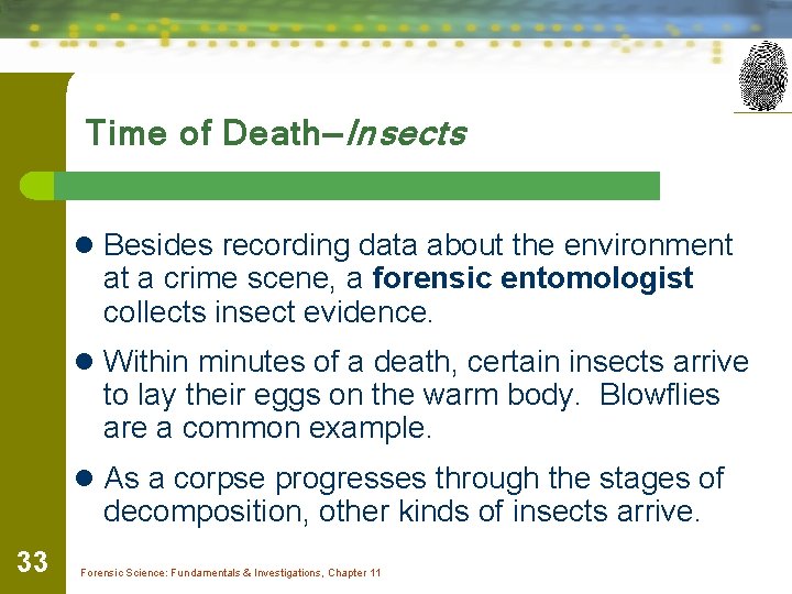 Time of Death—Insects l Besides recording data about the environment at a crime scene,