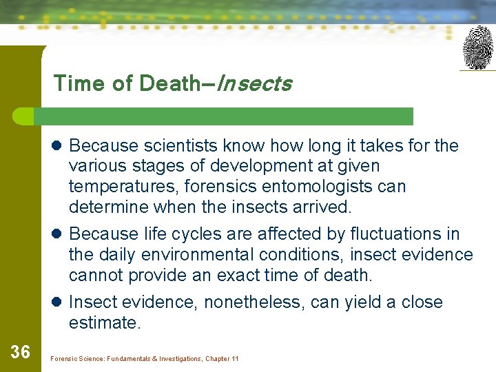 Time of Death—Insects l Because scientists know how long it takes for the various