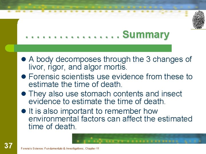 . . . . Summary l A body decomposes through the 3 changes of