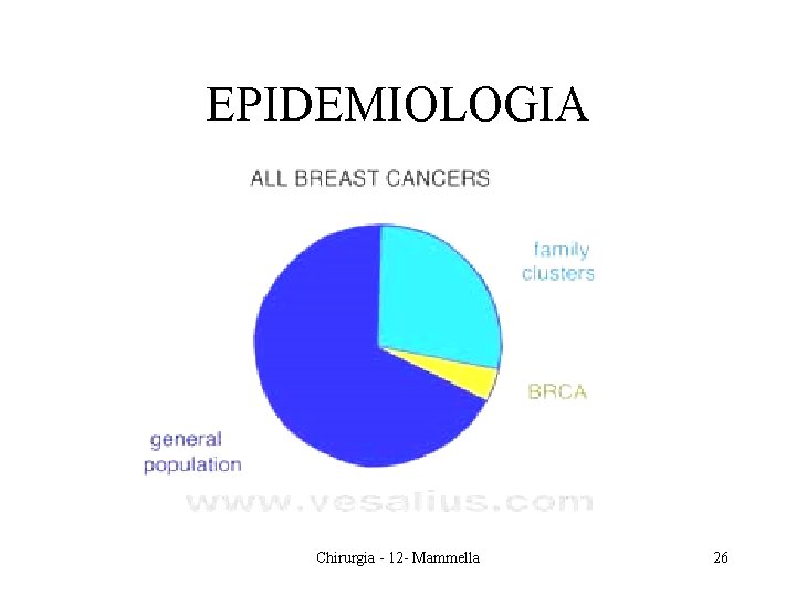 EPIDEMIOLOGIA Chirurgia - 12 - Mammella 26 EPIDEMIOLOGIA Chirurgia - 12 - Mammella 26