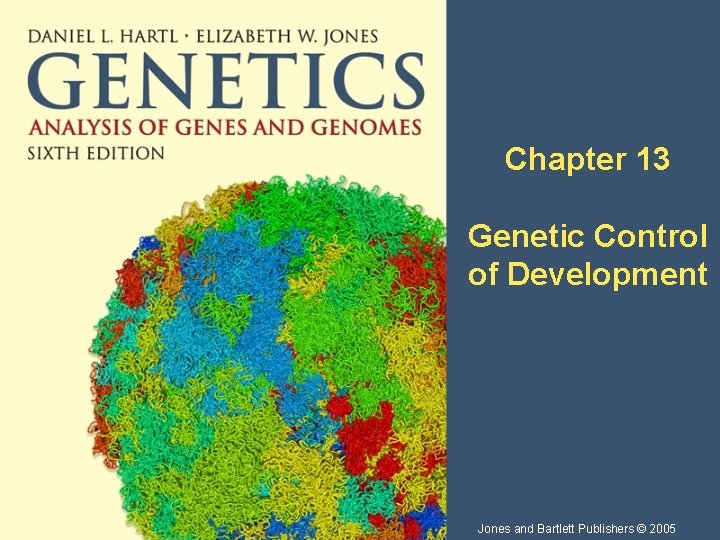 Chapter 13 Genetic Control of Development Jones and Bartlett Publishers © 2005 