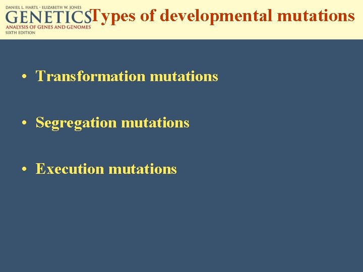 Types of developmental mutations • Transformation mutations • Segregation mutations • Execution mutations 