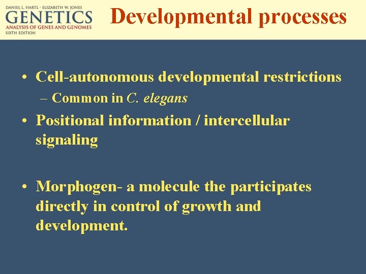 Developmental processes • Cell-autonomous developmental restrictions – Common in C. elegans • Positional information