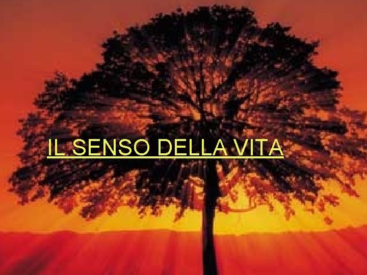 IL SENSO DELLA VITA 