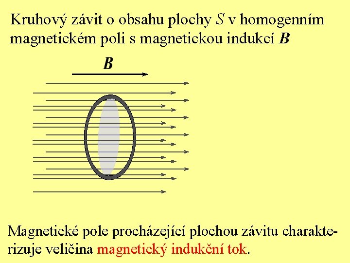 Kruhový závit o obsahu plochy S v homogenním magnetickém poli s magnetickou indukcí B