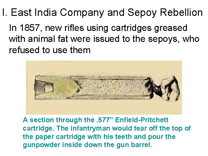 Chapter 25 The New Imperialism Section 4 The