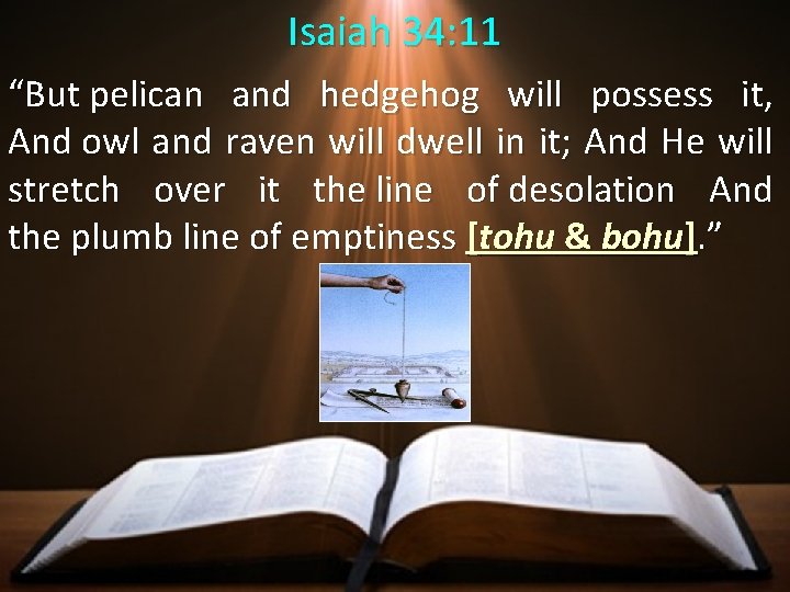 Isaiah 34: 11 “But pelican and hedgehog will possess it, And owl and raven