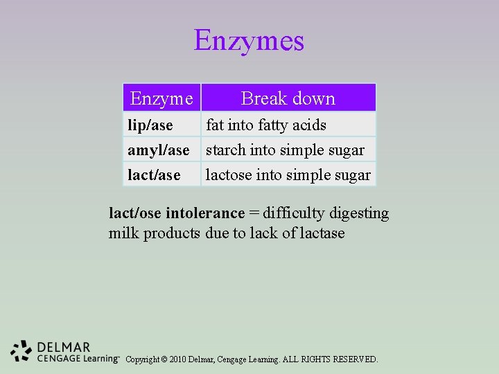 Enzymes Enzyme Break down lip/ase fat into fatty acids amyl/ase starch into simple sugar