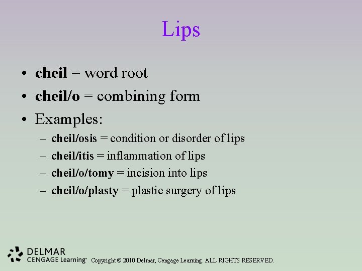 Lips • cheil = word root • cheil/o = combining form • Examples: –