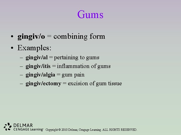 Gums • gingiv/o = combining form • Examples: – – gingiv/al = pertaining to