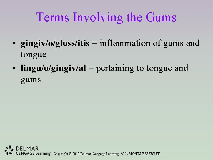 Terms Involving the Gums • gingiv/o/gloss/itis = inflammation of gums and tongue • lingu/o/gingiv/al