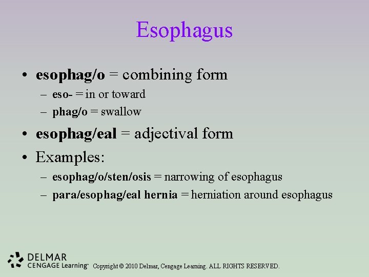 Esophagus • esophag/o = combining form – eso- = in or toward – phag/o