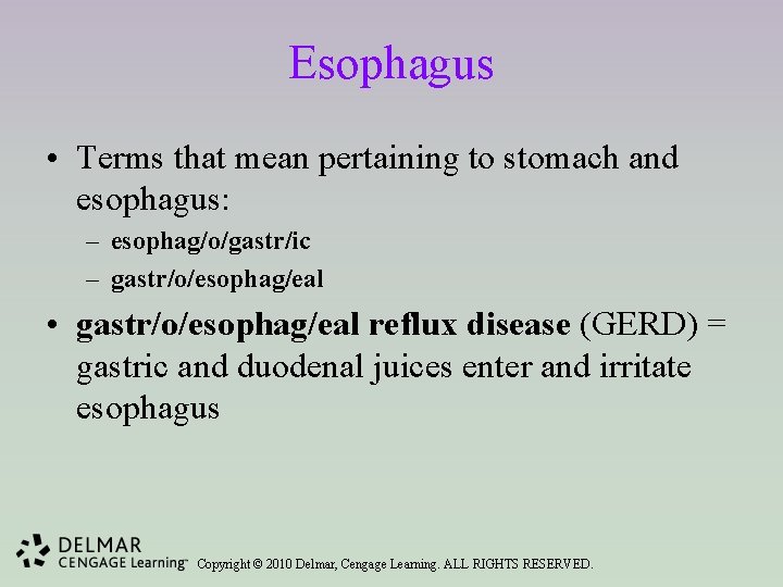 Esophagus • Terms that mean pertaining to stomach and esophagus: – esophag/o/gastr/ic – gastr/o/esophag/eal