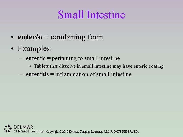 Small Intestine • enter/o = combining form • Examples: – enter/ic = pertaining to