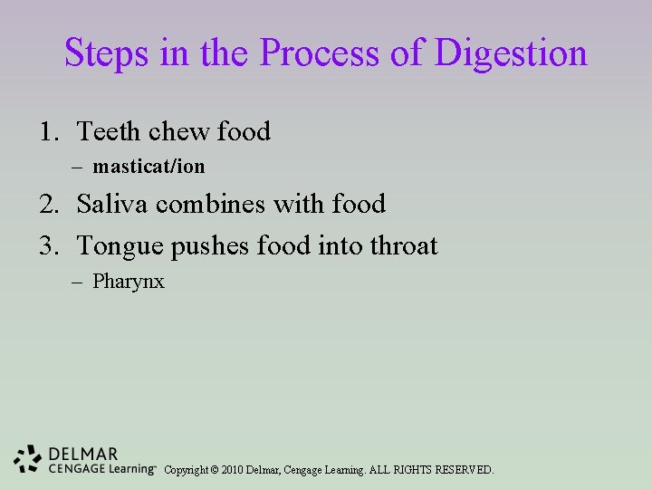 Steps in the Process of Digestion 1. Teeth chew food – masticat/ion 2. Saliva