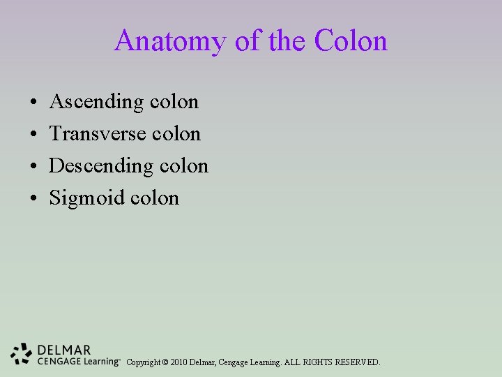 Anatomy of the Colon • • Ascending colon Transverse colon Descending colon Sigmoid colon