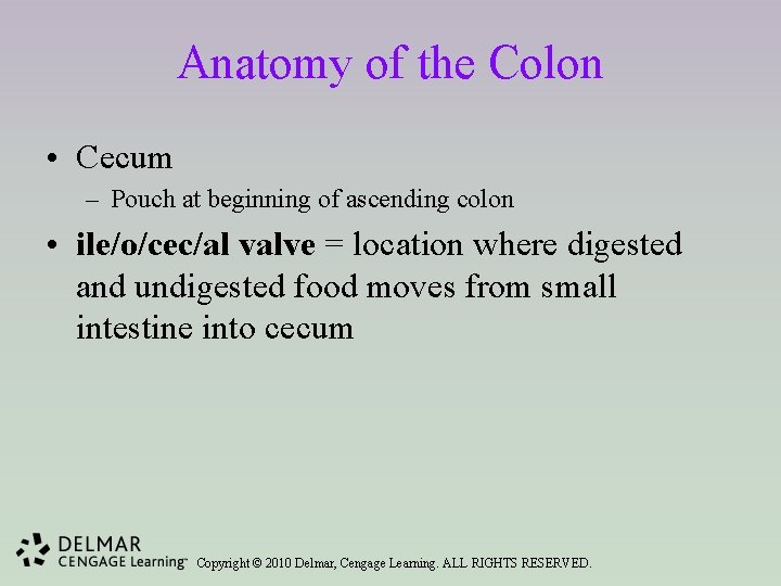 Anatomy of the Colon • Cecum – Pouch at beginning of ascending colon •