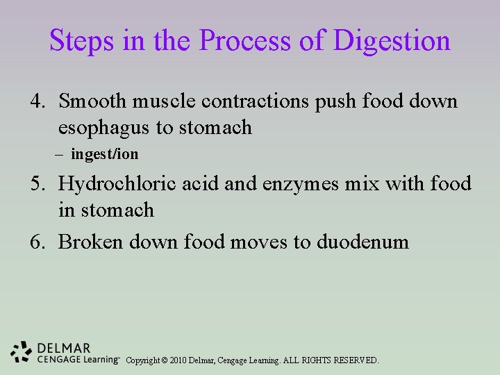 Steps in the Process of Digestion 4. Smooth muscle contractions push food down esophagus