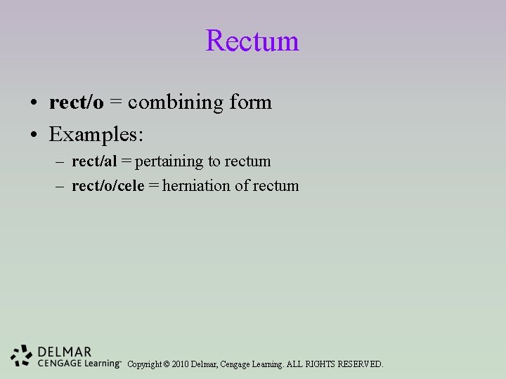 Rectum • rect/o = combining form • Examples: – rect/al = pertaining to rectum