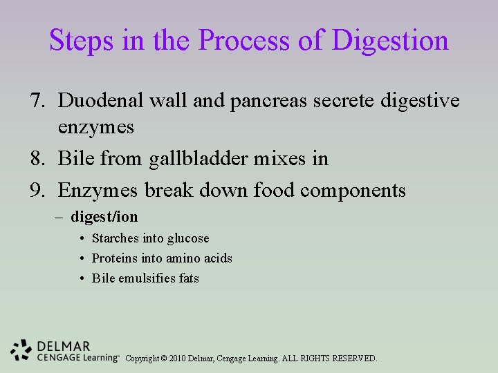 Steps in the Process of Digestion 7. Duodenal wall and pancreas secrete digestive enzymes