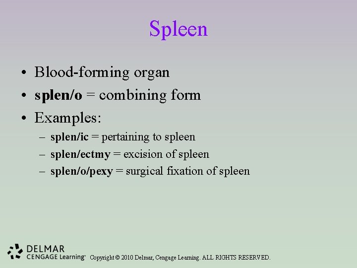Spleen • Blood-forming organ • splen/o = combining form • Examples: – splen/ic =