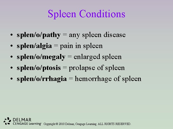 Spleen Conditions • • • splen/o/pathy = any spleen disease splen/algia = pain in