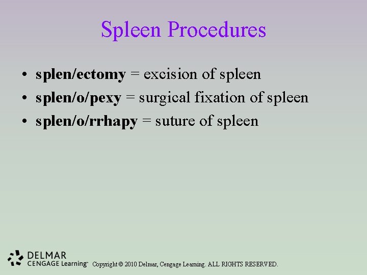 Spleen Procedures • splen/ectomy = excision of spleen • splen/o/pexy = surgical fixation of