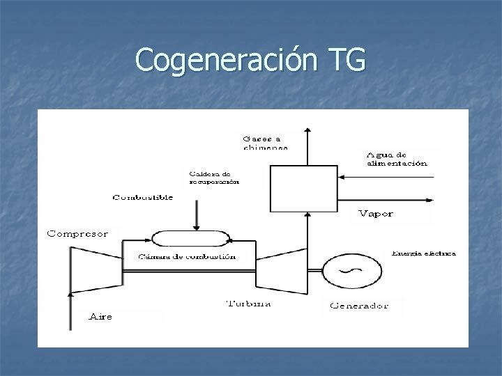 Cogeneración TG 