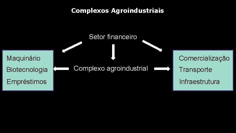 Complexos Agroindustriais Setor financeiro Maquinário Biotecnologia Empréstimos Comercialização Complexo agroindustrial Transporte Infraestrutura 