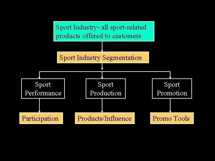 Sport Industry- all sport-related products offered to customers Sport Industry Segmentation Sport Performance Participation