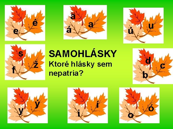 e é s f y ä á a ú SAMOHLÁSKY ž Ktoré hlásky sem